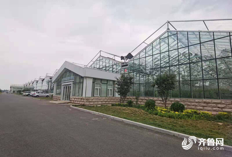 高端智庫看山東 如何豐富“壽光模式”內(nèi)涵？專家支招 結(jié)合新發(fā)展機(jī)遇，用數(shù)字經(jīng)濟(jì)賦能產(chǎn)業(yè)，推廣新材料技術(shù)
